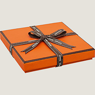 Zebra Pegasus nano scarf 20 | Hermès Australia